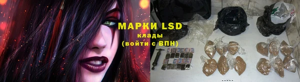 ГАЛЛЮЦИНОГЕННЫЕ ГРИБЫ Алексин