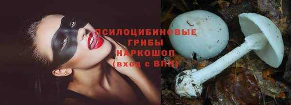 ГАЛЛЮЦИНОГЕННЫЕ ГРИБЫ Алексин