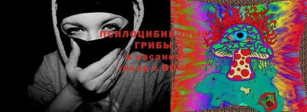 ГАЛЛЮЦИНОГЕННЫЕ ГРИБЫ Алексин