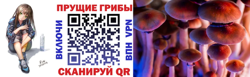 купить наркотики сайты Октябрьский Галлюциногенные грибы MAGIC MUSHROOMS